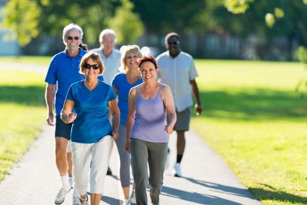 Des marcheurs en bonne compagnie image