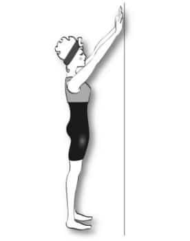 Exercice pour se muscler le dos quand on est senior